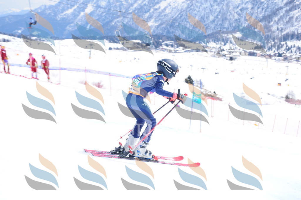 DSC_2327 | holidayphoto