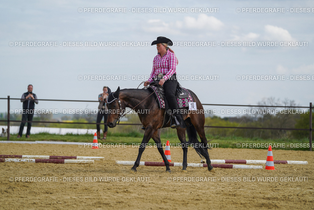 DSC05213 | Pferdegrafie