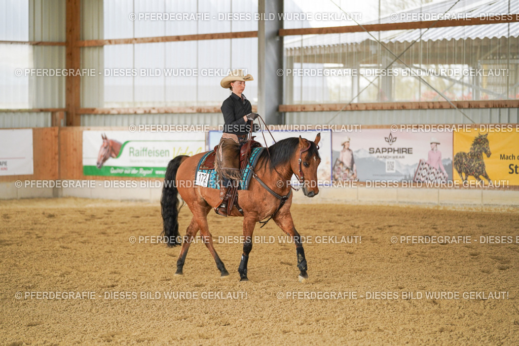 DSC03013 | Pferdegrafie