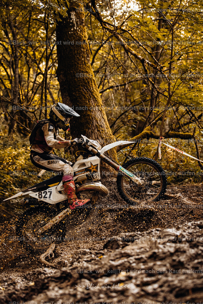 E68A6223 | blick_win_kel