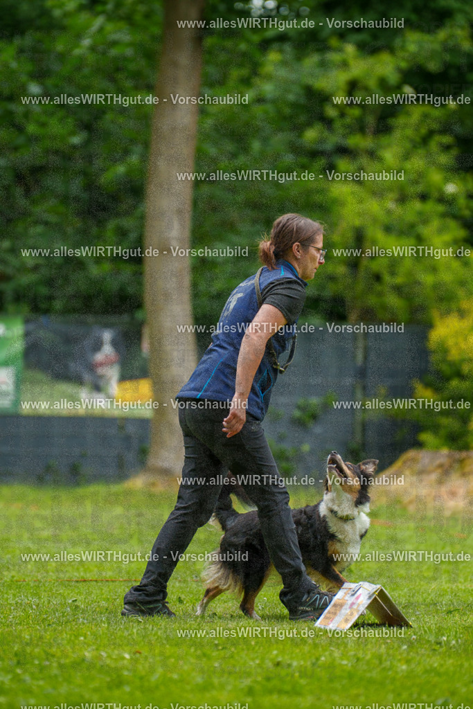 @allesWIRTHgut_Tierfotografie - www.allesWIRTHgut.de - 091836-7R506918 | Professionelle Tierfotografie in Mönchengladbach von Daniel Wirth (allesWIRTHgut). Liebevolle & natürliche Bilder von Hunden & Katzen für unvergessliche Erinnerungen.