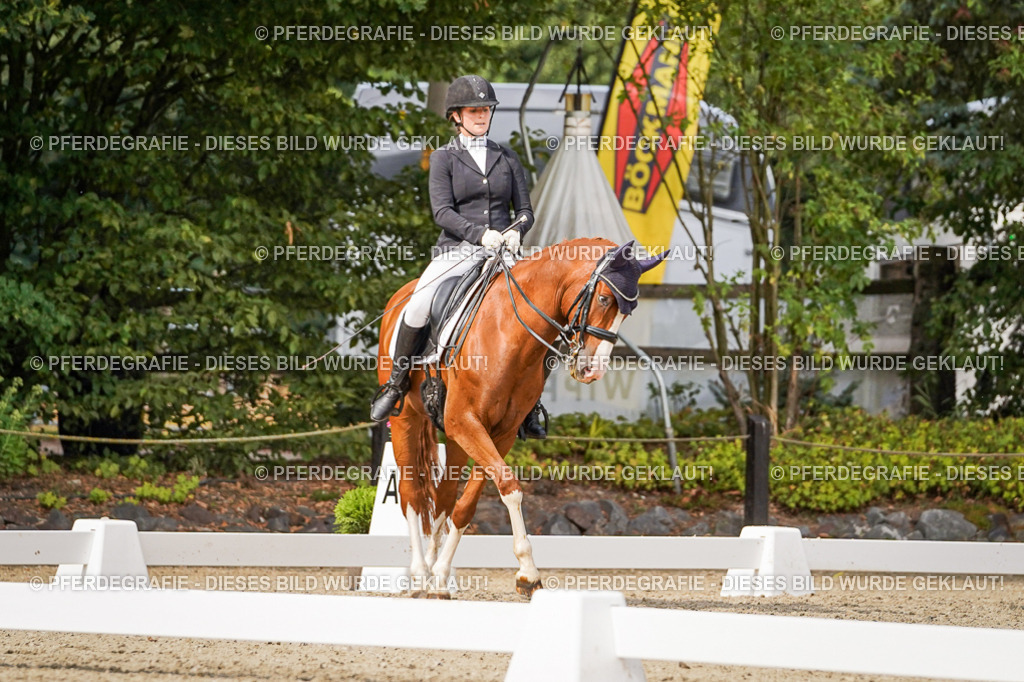 DSC06446 | Pferdegrafie