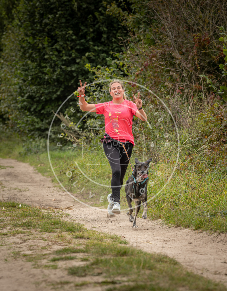 Pfotenfotografie_DV3A8064 | Hundefotografie, Tierfotograf, Pfotenfotografie, Fotoshooting Hund, Hunde Portrait, Hundesport, Hundeportraits, Heideshooting, Hunde, Sportfotograf, Hundefotograf, Turnierhundsport, THS,  - Realisiert mit Pictrs.com
