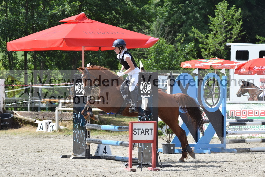 DSC_0011 | equestrian-live-com