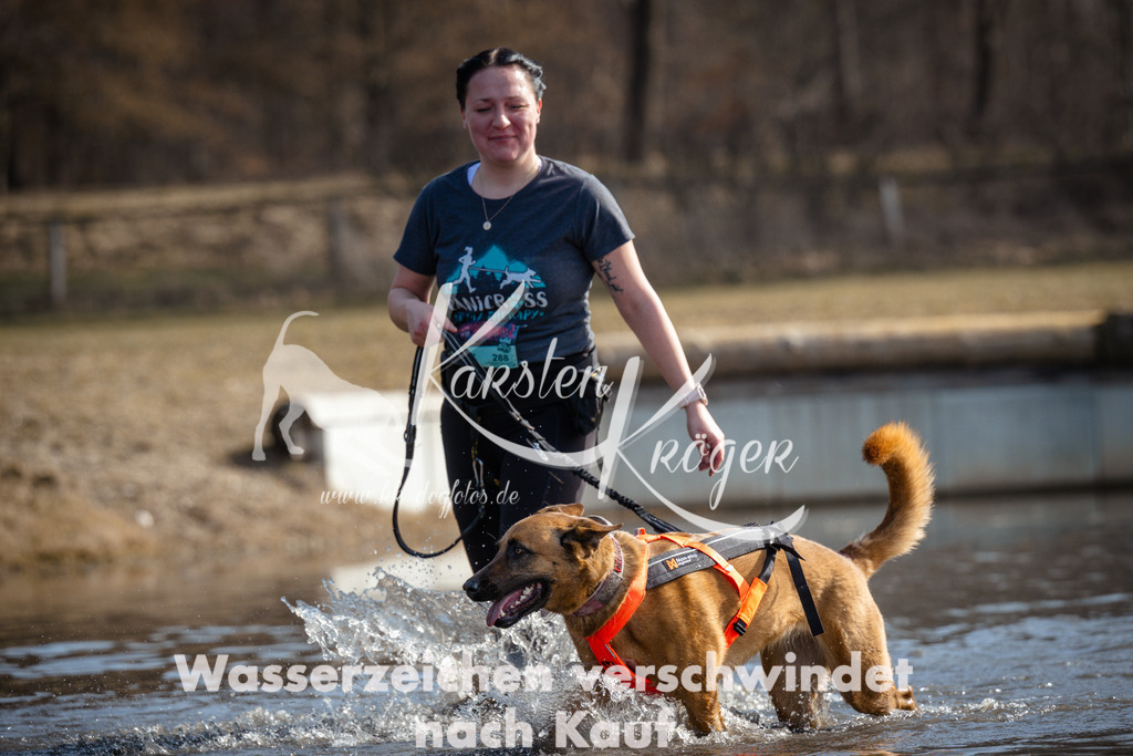 1156_ZZ97464 | kk-dogfotos