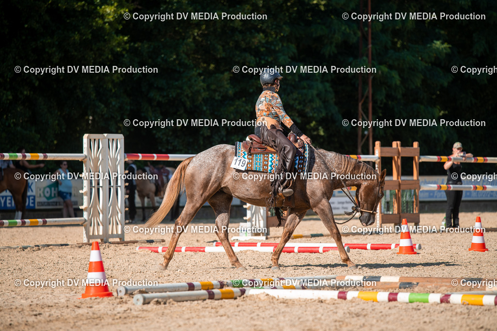 EWP_6988 | dv-media-shop - Realisiert mit Pictrs.com