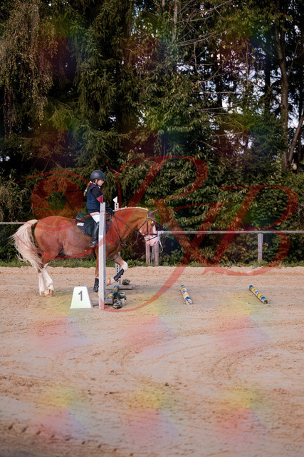 2026_10_03_Siefer-Hof_144416_Z81_17673844 | Professionelle Reitsport-, Turnier- und Eventfotografie von Robert Broda. Galerien mit ausgewählten und bearbeiteten Bildern direkt online ansehen und bestellen.
