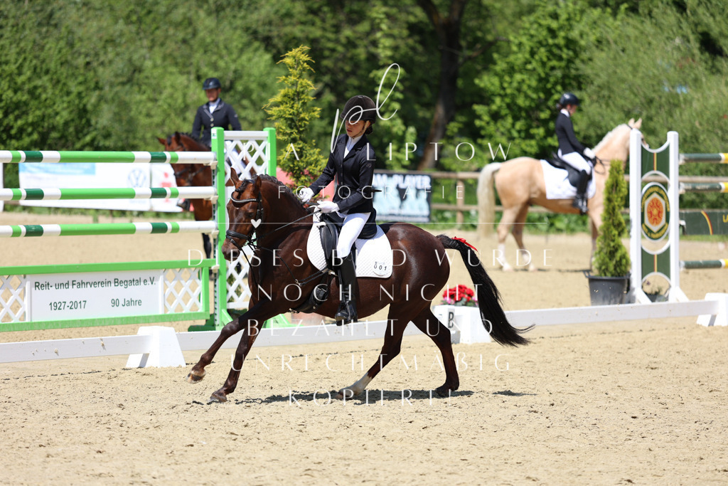 IMGS2604 | pl-fotografie