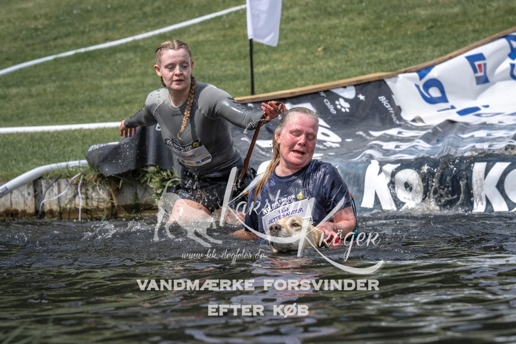 1155_ZZ94370 | kk-dogfotos