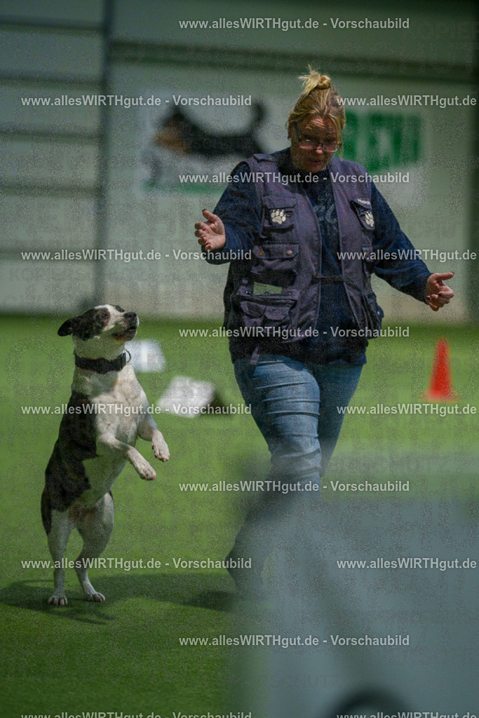 7R504772 | Professionelle Tierfotografie in Mönchengladbach von Daniel Wirth (allesWIRTHgut). Liebevolle & natürliche Bilder von Hunden & Katzen für unvergessliche Erinnerungen.