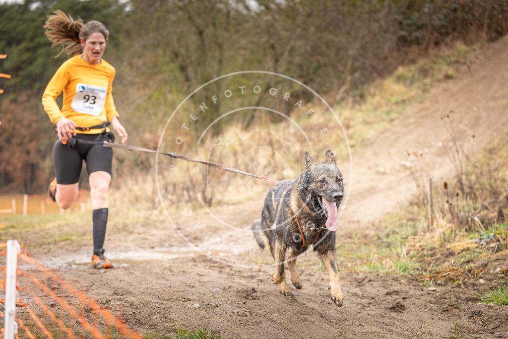 DV3A0473 | Hundefotografie, Tierfotograf, Pfotenfotografie, Fotoshooting Hund, Hunde Portrait, Hundesport, Hundeportraits, Heideshooting, Hunde, Sportfotograf, Hundefotograf, Turnierhundsport, THS,  - Realisiert mit Pictrs.com