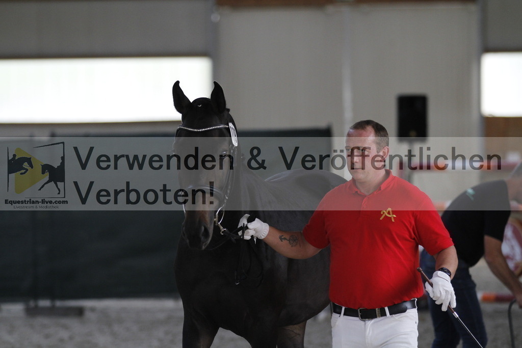 _MG_0720 | equestrian-live-com