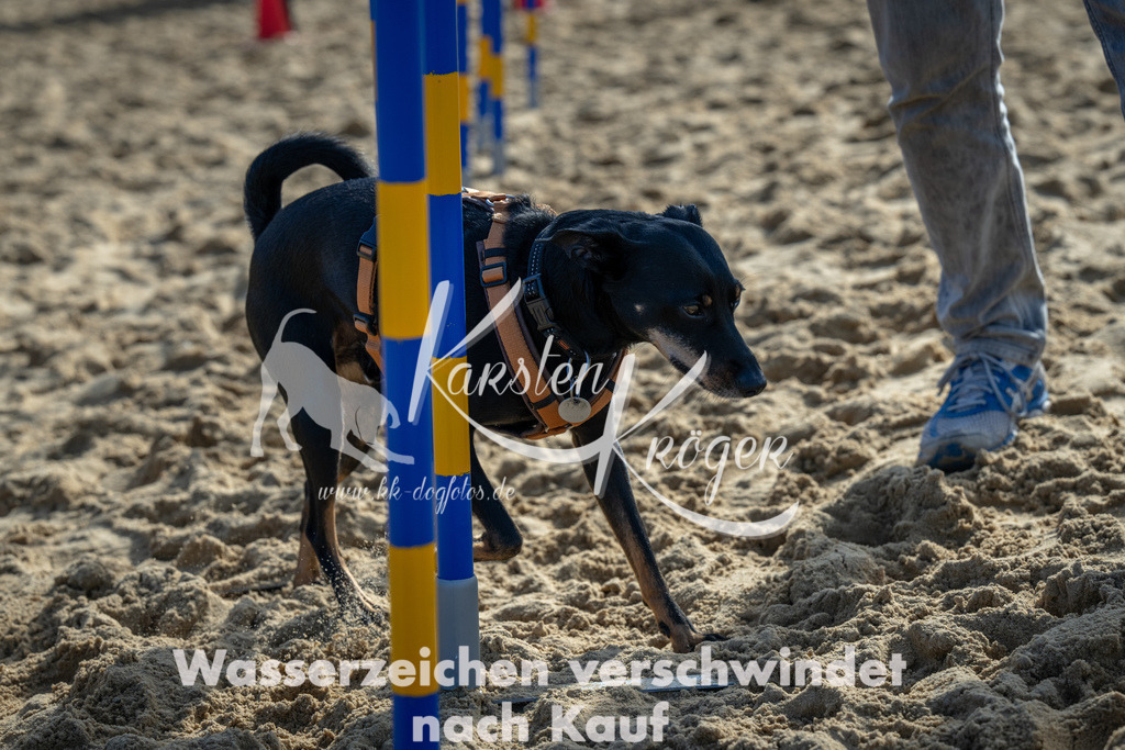 1110_ZZ90579 | kk-dogfotos