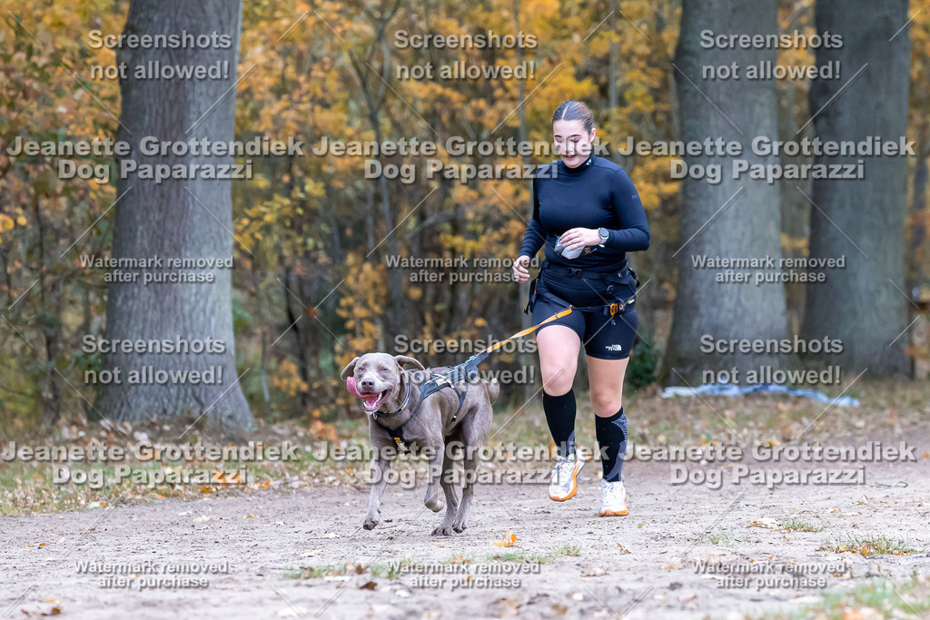 Dog Paparazzi - SD CaniX Championship 2025-525 | Dog Paparazzi Jeanette Grottendiek Fotografie & Videografie - Realisiert mit Pictrs.com