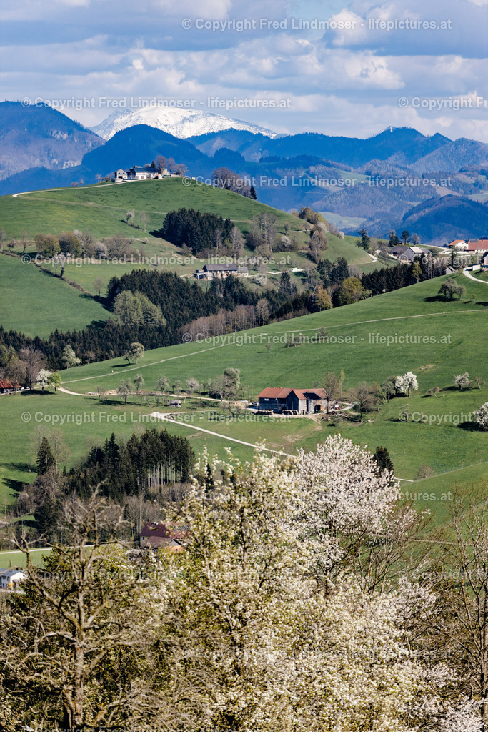 Otscher  (50) | Fotos und Fotoprodukte - Realisiert mit Pictrs.com