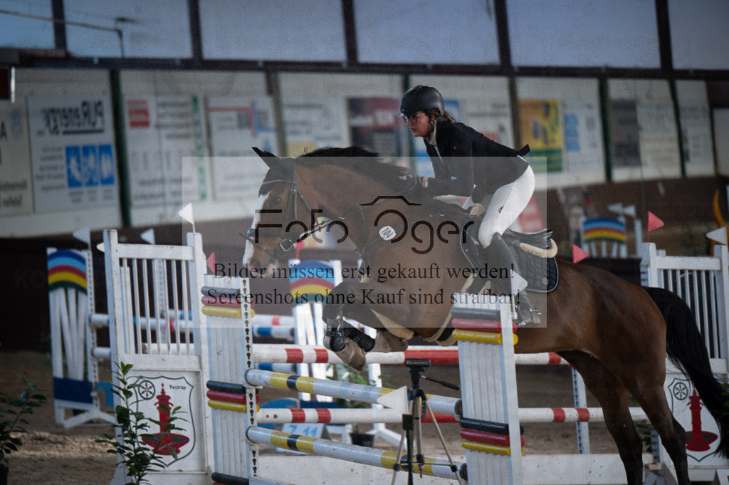 Hallenreittunier Voxtrup 2023 | Entdecke hochwertige Reitturnierfotos von Foto Oger. Professionell, emotional und authentisch – jetzt Lieblingsmomente im Shop bestellen.Deutschlandweite Turnierfotografie. - Realisiert mit Pictrs.com