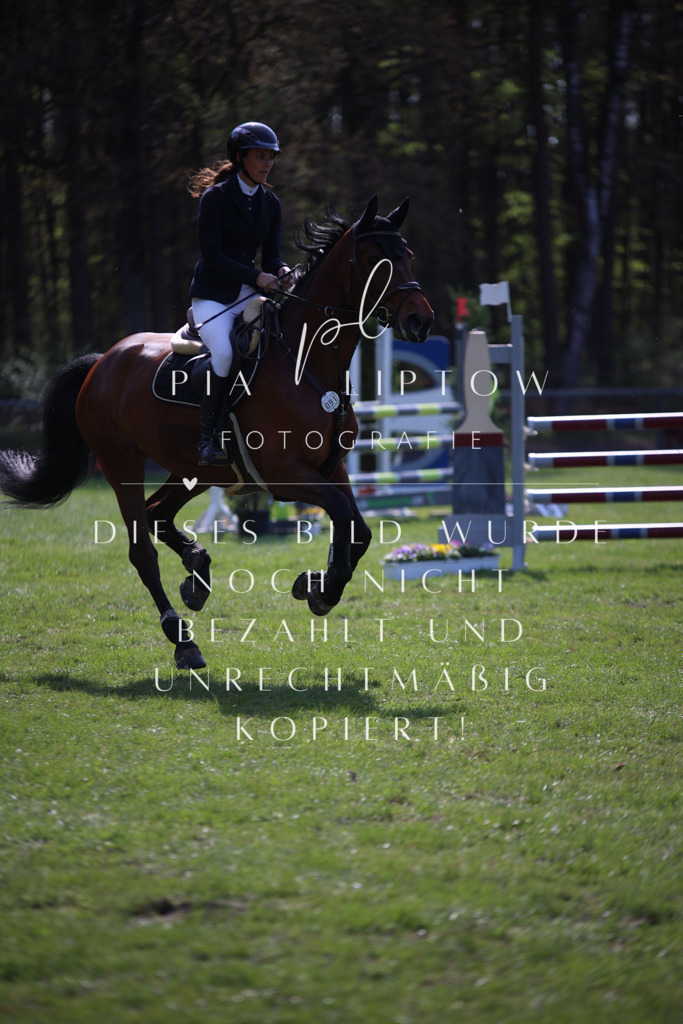 IMGT5841 | pl-fotografie