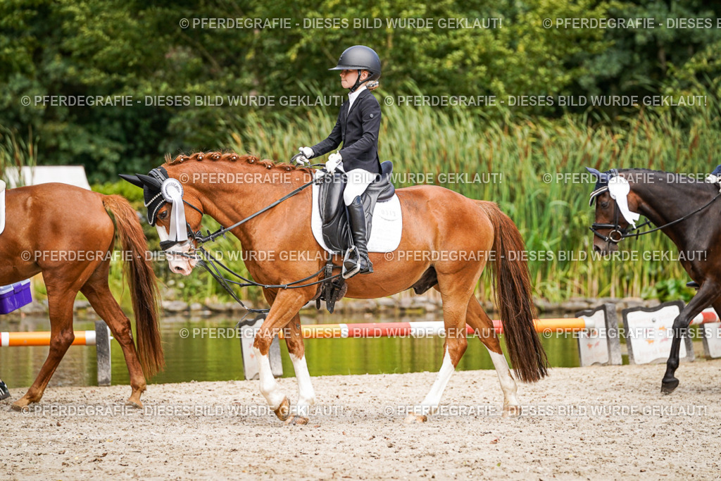 DSC02703 | Pferdegrafie