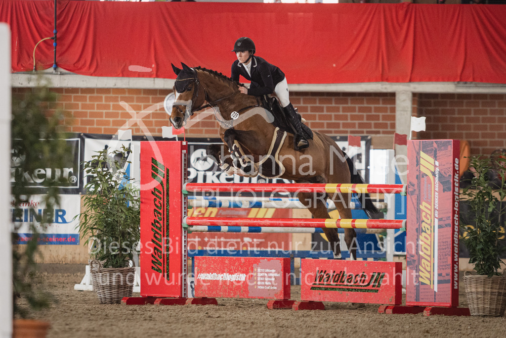 230318_Borgholzhausen_M2-Spr-225 | Turnier Borgholzhausen, M**-Springen mit steigenden Anforderungen, 1. Etappe der Waldbach Amateur Tour 2023