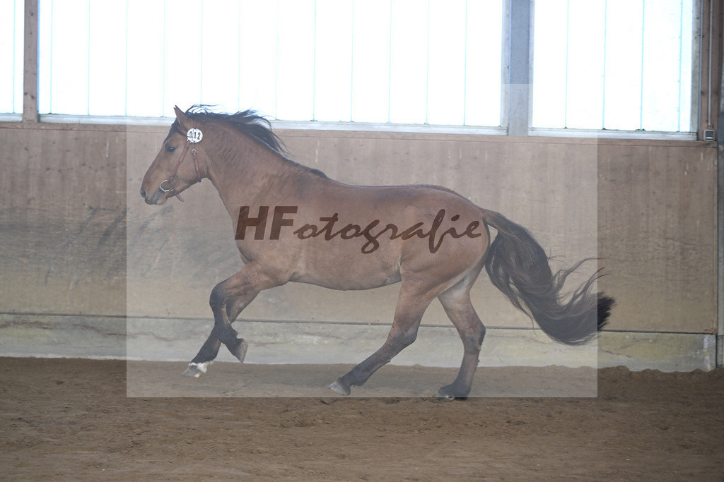 Kat-Nr. 12 Tapadero v. Tape Isidoro_Seefried_49250453 | hf-fotografie - Realisiert mit Pictrs.com