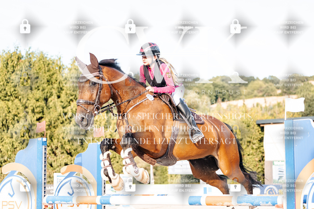 CK903609 | Turnierfotografie Pferdefotografie Trier Rheinland-Pfalz Pferdesport Reitsport Tierfotografie Sportfotografie Pferdevideo Pferdevideografie Equestrianvideography equestrianphotography  - Realisiert mit Pictrs.com
