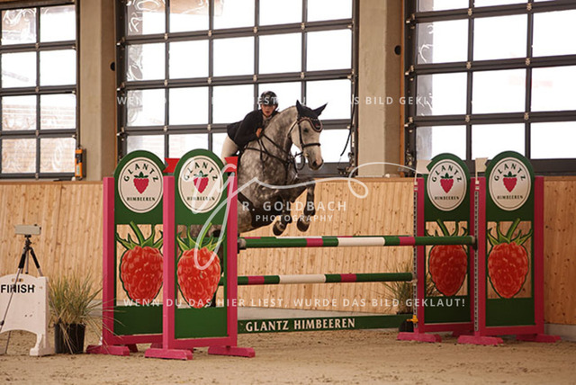 1J2A2449Rica Marlene Scholz_ Cool Shuttle S_ Kn170_ Hohen Wieschendorf_ Glantz | Foto- und Videografie für alles rund ums Pferd. Hochwertige Bilder und Videos vom Spring- und Dressurreiten, Voltigieren & mehr. Jetzt aktuelle Veranstaltungen und Preise im Shop ansehen. - Realisiert mit Pictrs.com