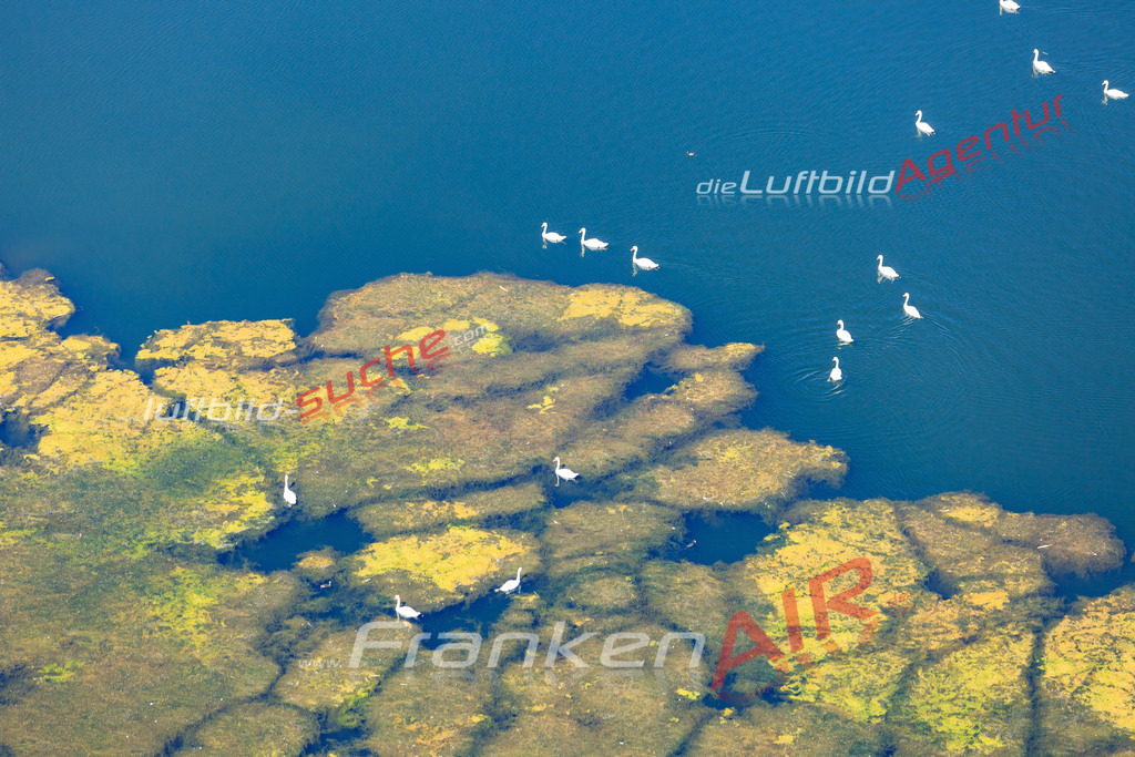 Luftbild von Baggerseen Trieb - Luftaufnahme wurde 2016 von https://frankenair.de mittels Flugzeug (keine Drohne) erstellt - die Geschenkidee