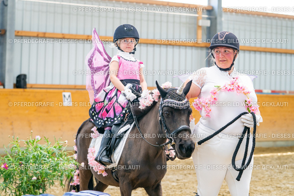 DSC00074 | Pferdegrafie