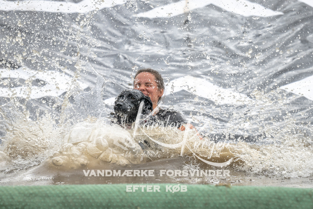 1415_ZZ94843 | kk-dogfotos