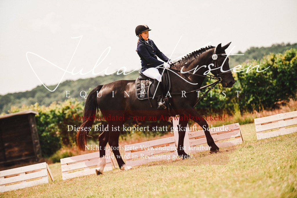 DSC_6349 | Pferde- und Turnierfotografie in Westsachsen. Pferdeportraits, Auftragszeichnungen und intuitive Kunst.