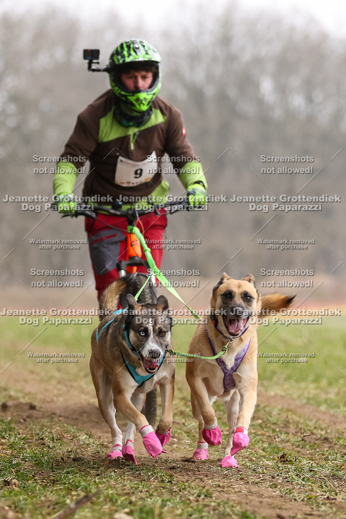 Dog Paparazzi - Plate 2026-34 | Dog Paparazzi Jeanette Grottendiek Fotografie & Videografie - Realisiert mit Pictrs.com