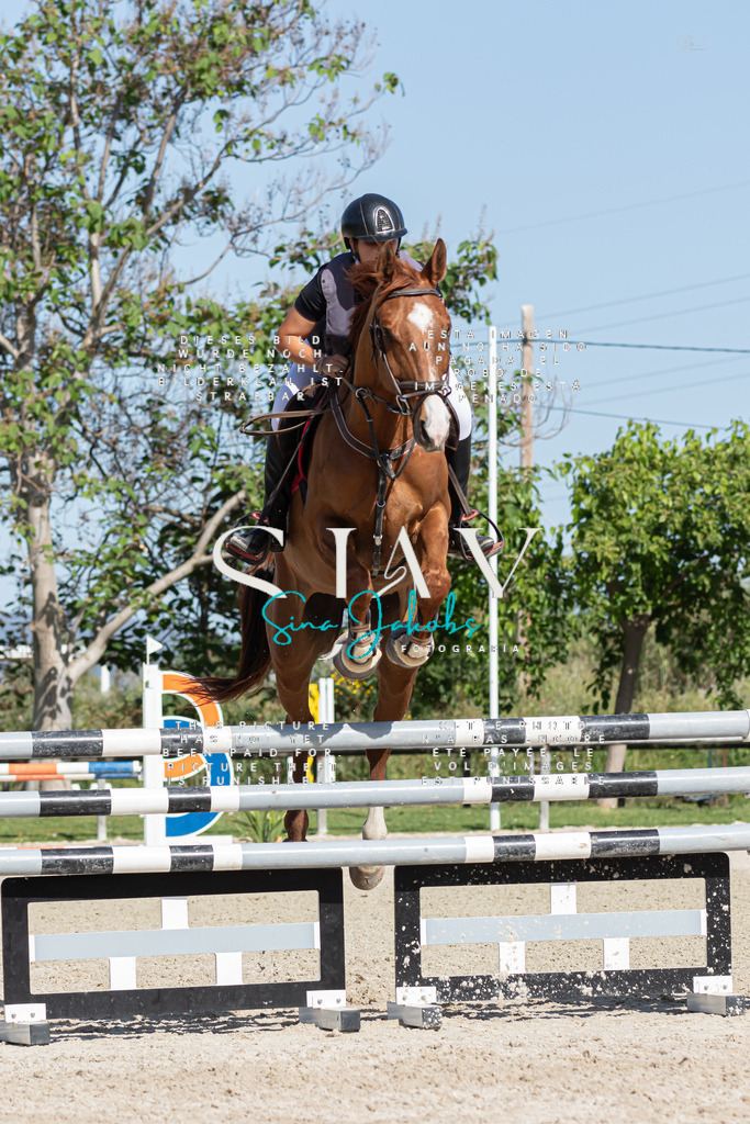 IMG_0996 | s-jay-photography - Realisiert mit Pictrs.com