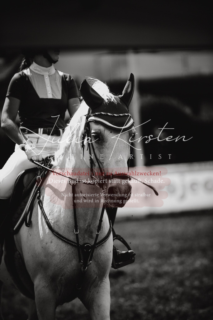 DSC_6737 | Pferde- und Turnierfotografie in Westsachsen. Pferdeportraits, Auftragszeichnungen und intuitive Kunst.