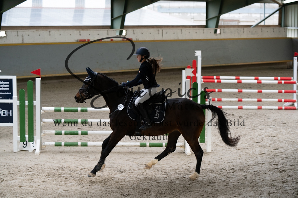 A7V01369 | Pferdefotograf