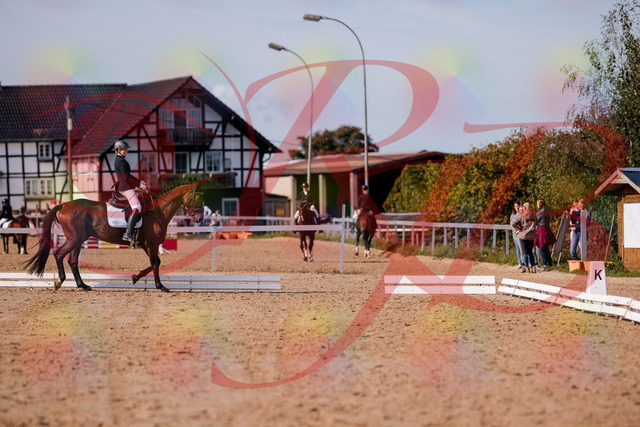 2026_10_03_Siefer-Hof_122827_Z81_26884829 | Professionelle Reitsport-, Turnier- und Eventfotografie von Robert Broda. Galerien mit ausgewählten und bearbeiteten Bildern direkt online ansehen und bestellen.