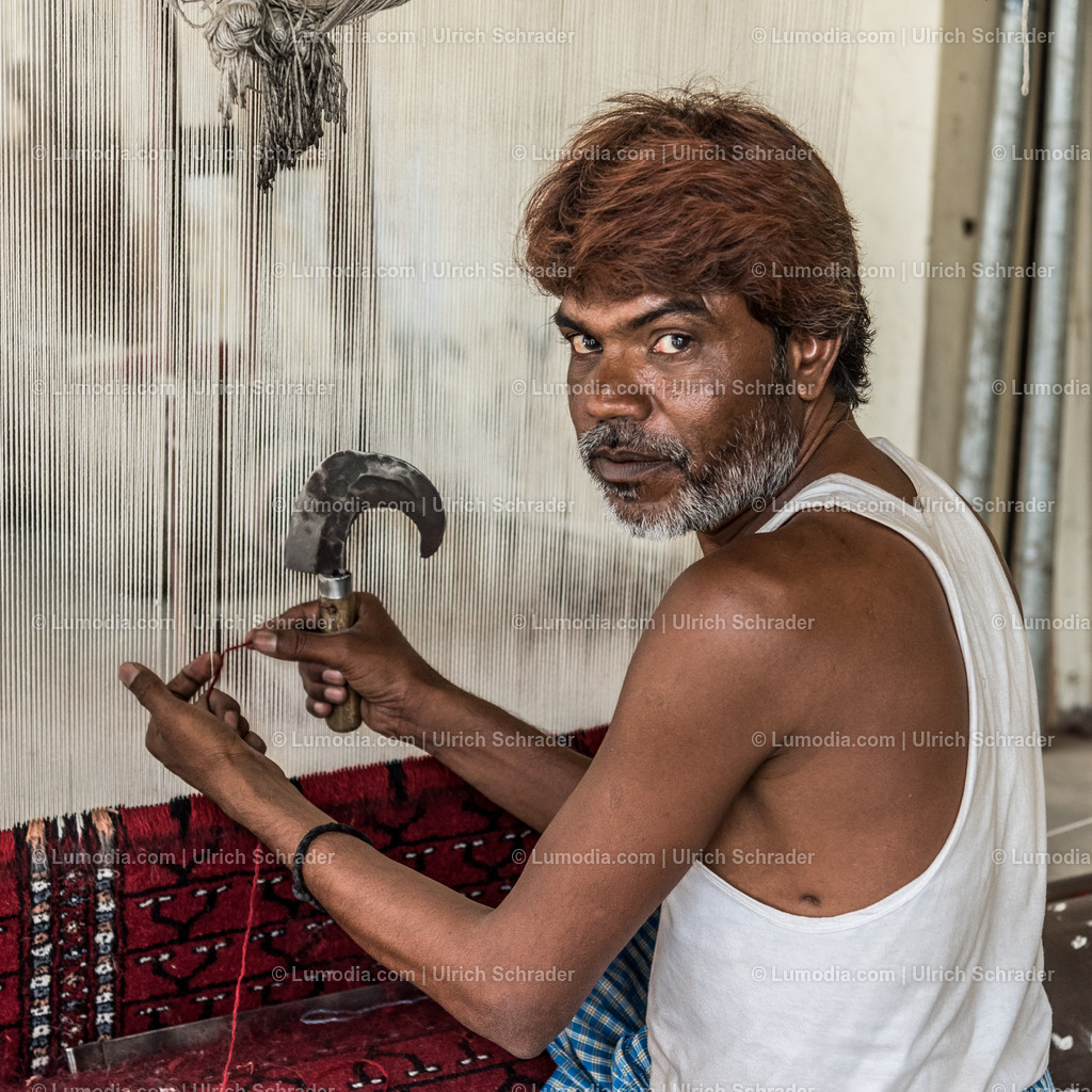 202510-197 | Stockfoto und Bilderpool mit Bildmaterial aus Deutschland, dem Harz, Halberstadt, Quedlinburg, Wernigerode und weltweit. Qualitativ hochwertige und professionelle Fotos anschauen und kaufen. - Realisiert mit Pictrs.com