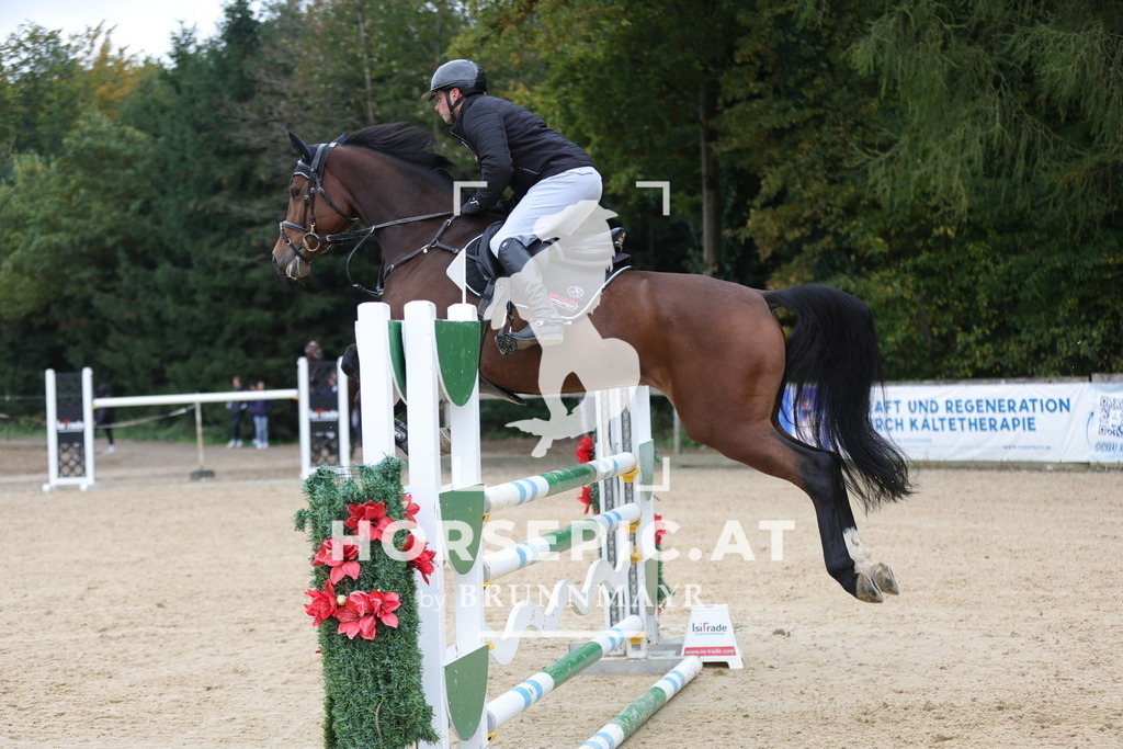 0P6A3543 | Willkommen bei Brunnmayr - Design & Fotografie – Ihrem Spezialisten für Reitturniere und Pferdeveranstaltungen in Oberösterreich, Salzburg und Bayern! Seit über 17 Jahren sind wir leidenschaftlich dabei.