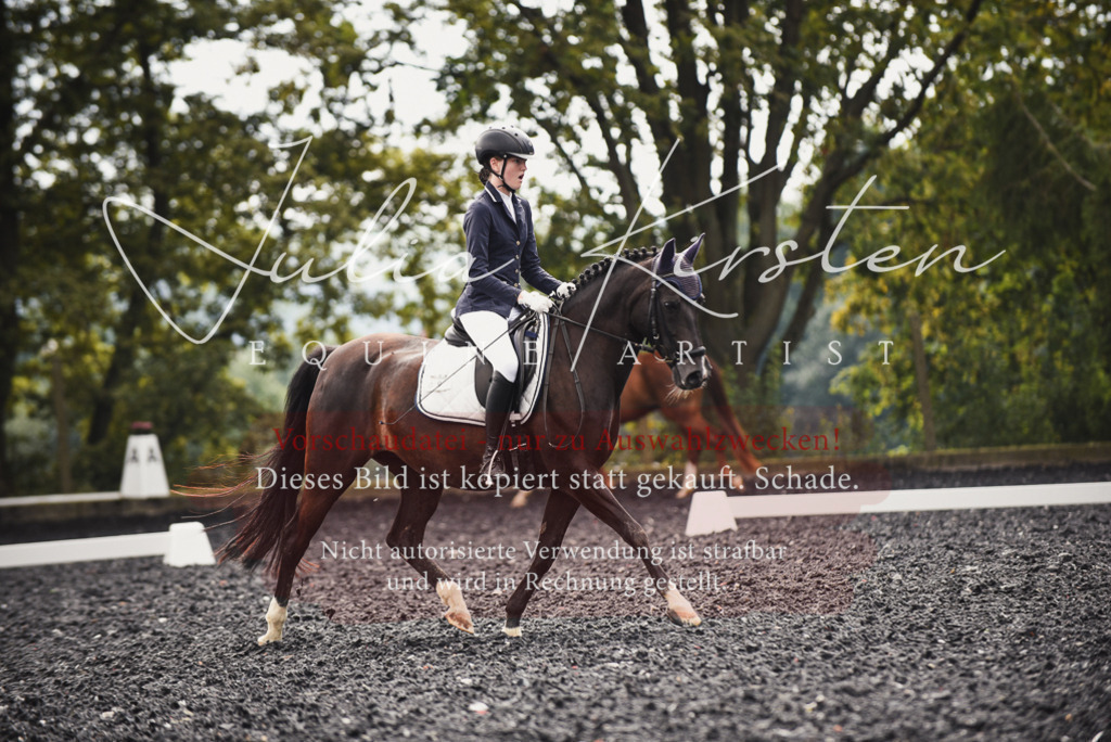 DSC_3948 | Pferde- und Turnierfotografie in Westsachsen. Pferdeportraits, Auftragszeichnungen und intuitive Kunst.