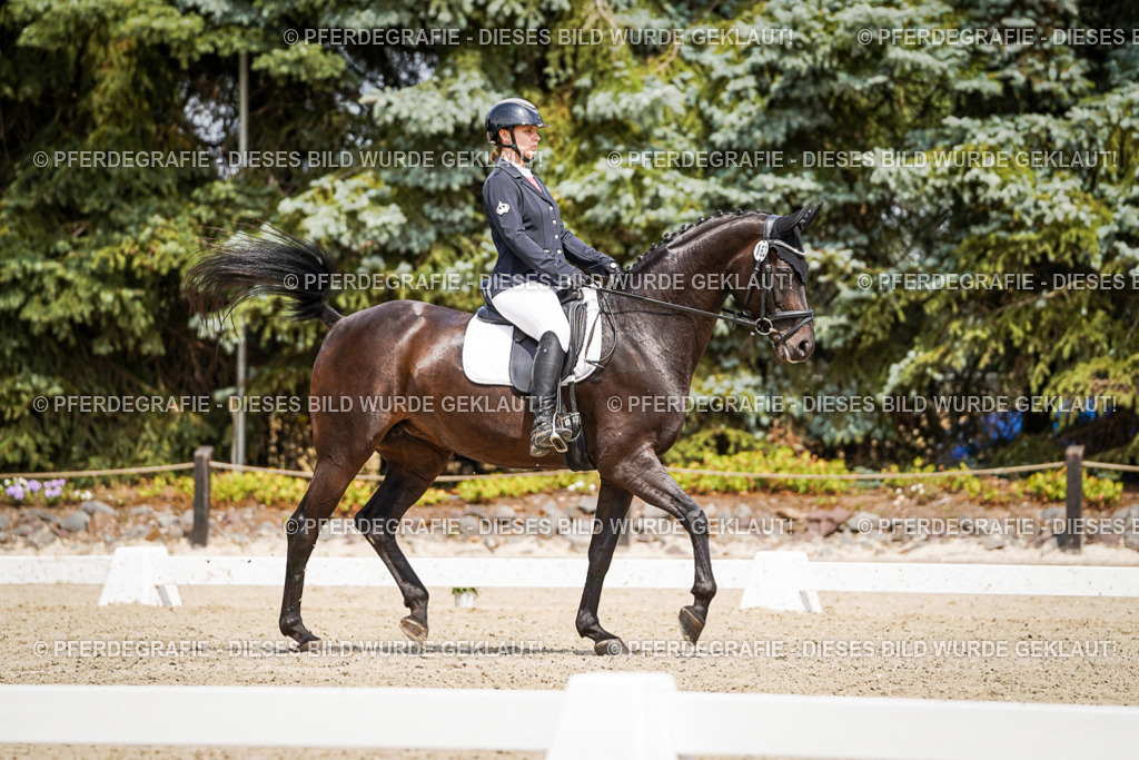 DSC02588 | Pferdegrafie