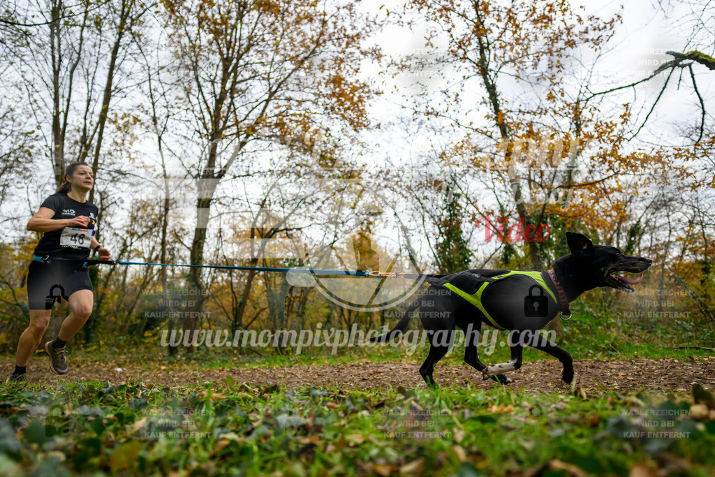 MompixPhotography_Bischwiller24_DI_CoursedeRelais-45 | PayLife