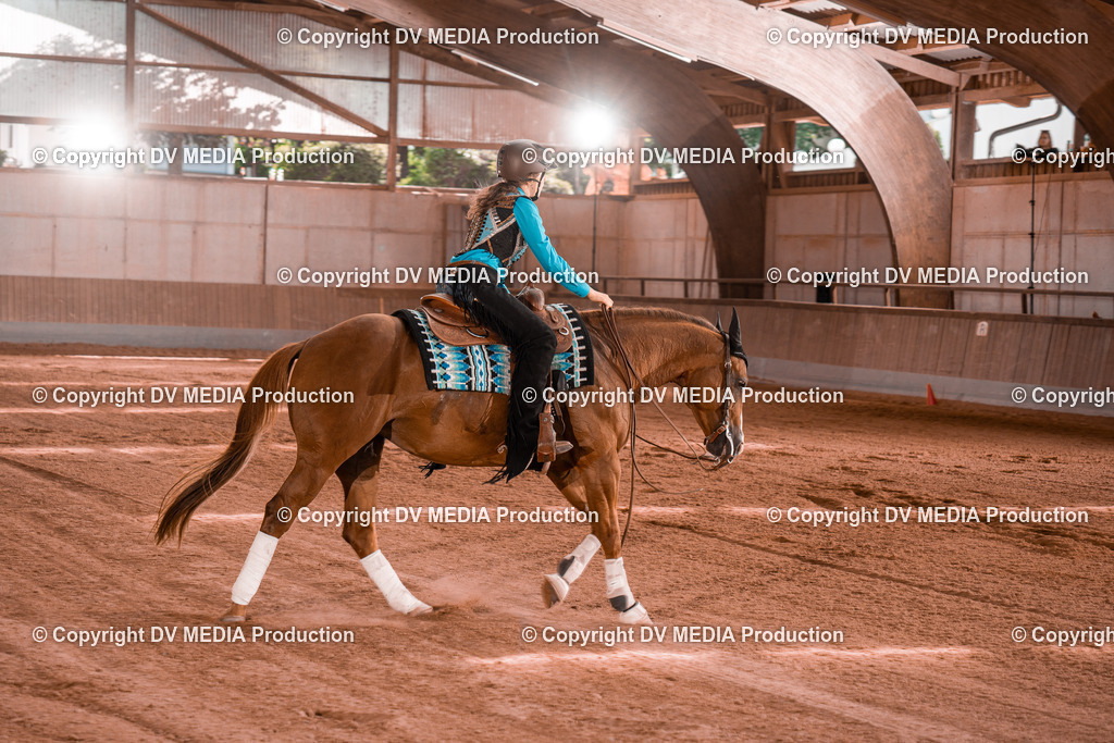 NE201140 | dv-media-shop - Realisiert mit Pictrs.com