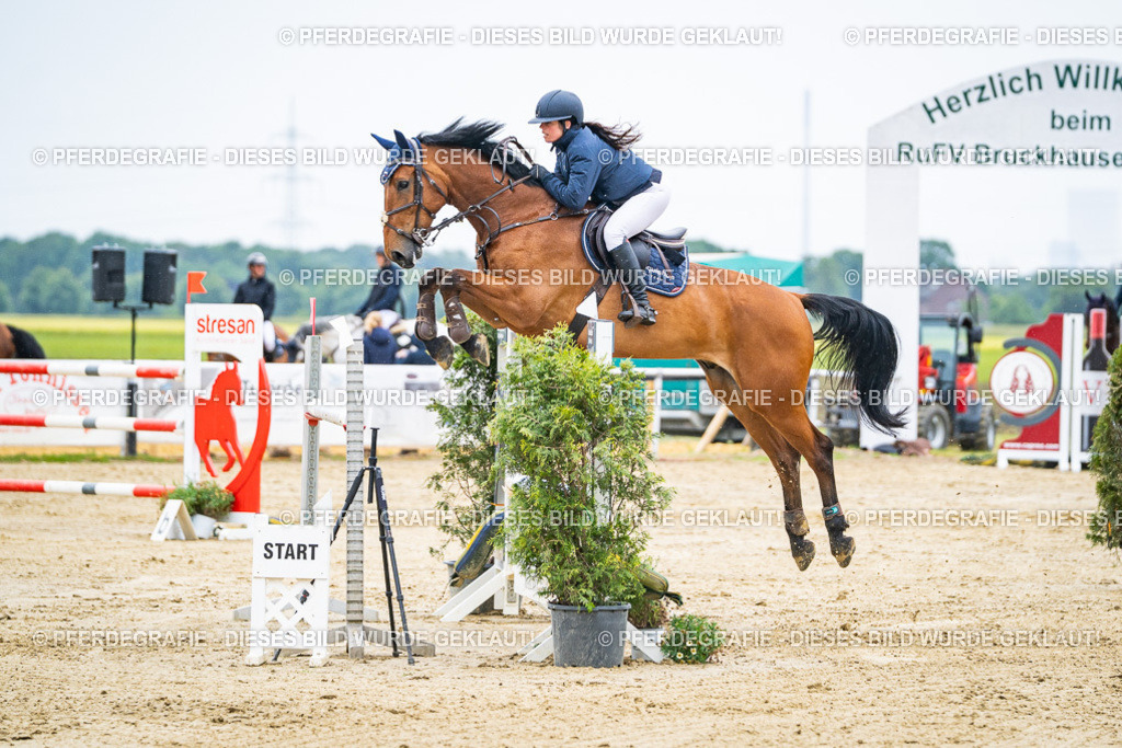 DSC09221 | Pferdegrafie