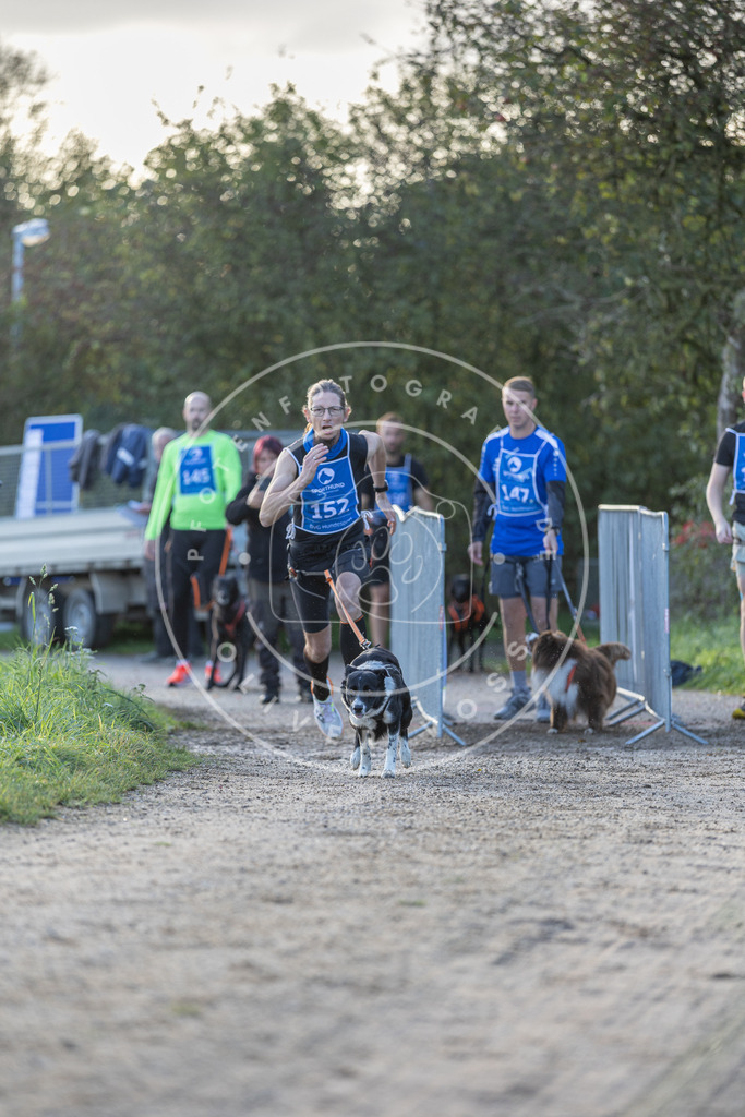 Pfotenfotografie.de_DV3A2726 | Hundefotografie, Tierfotograf, Pfotenfotografie, Fotoshooting Hund, Hunde Portrait, Hundesport, Hundeportraits, Heideshooting, Hunde, Sportfotograf, Hundefotograf, Turnierhundsport, THS, canicross - Realisiert mit Pictrs.com