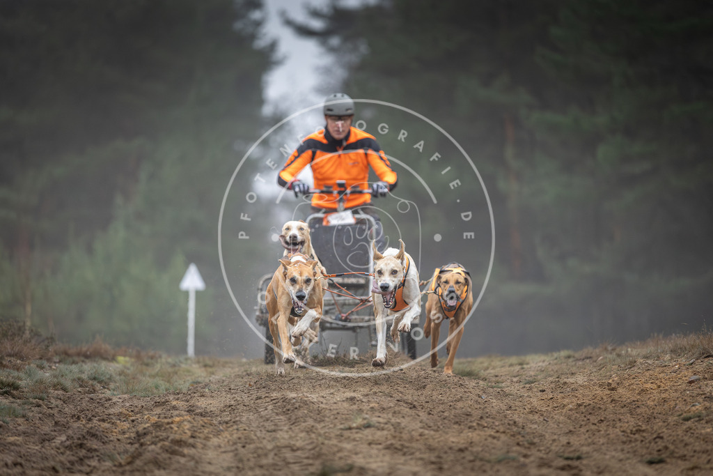 Pfotenfotografie_DV3A0352 | Hundefotografie, Tierfotograf, Pfotenfotografie, Fotoshooting Hund, Hunde Portrait, Hundesport, Hundeportraits, Heideshooting, Hunde, Sportfotograf, Hundefotograf, Turnierhundsport, THS,  - Realisiert mit Pictrs.com