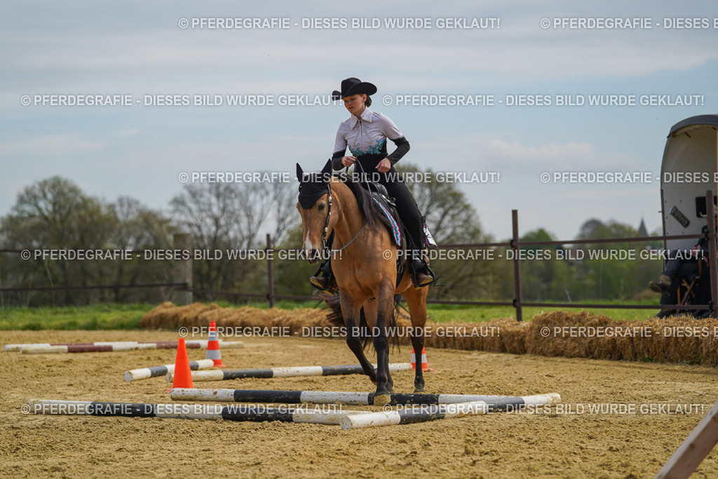 DSC03728 | Pferdegrafie