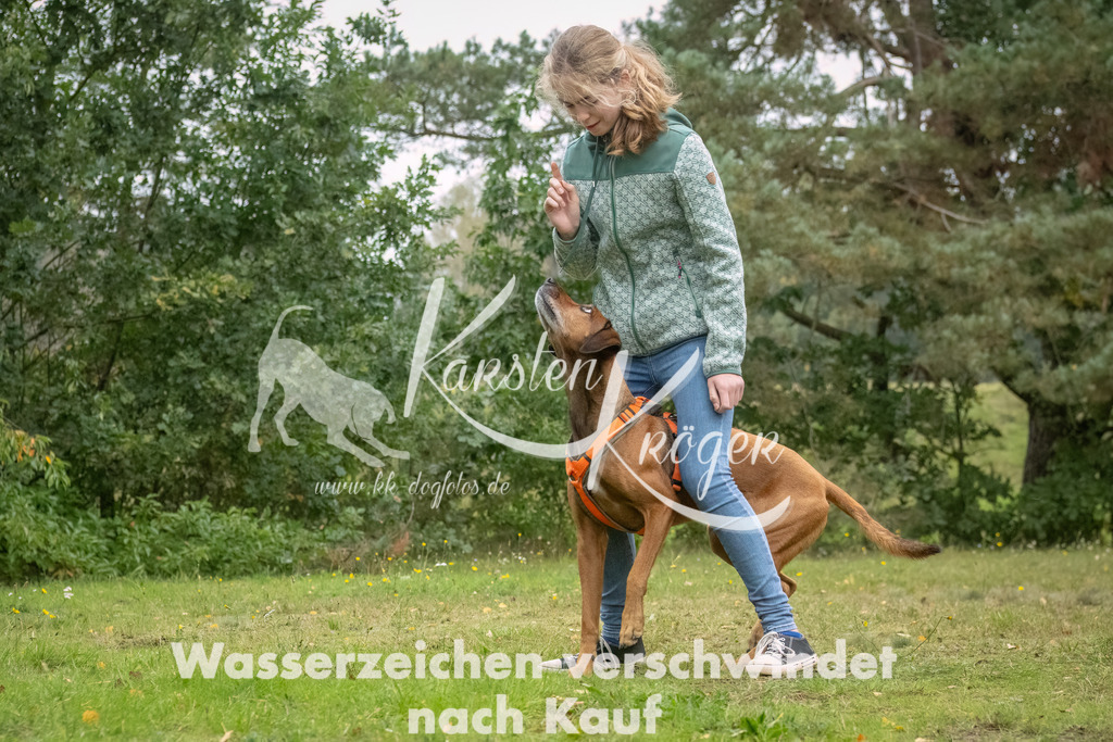 1135_ZZ94701-Bearbeitet | kk-dogfotos