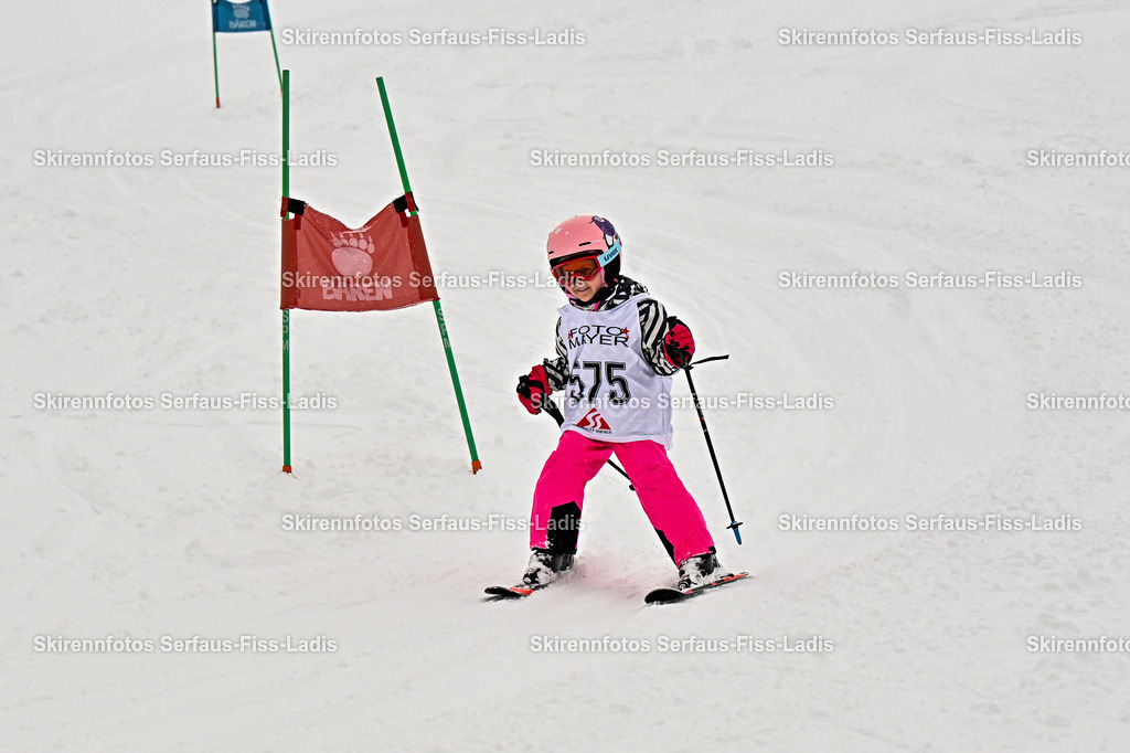 SRS_20.02.2026_1225 | SRS_20.02.2026_1225 - Realisiert mit Pictrs.com