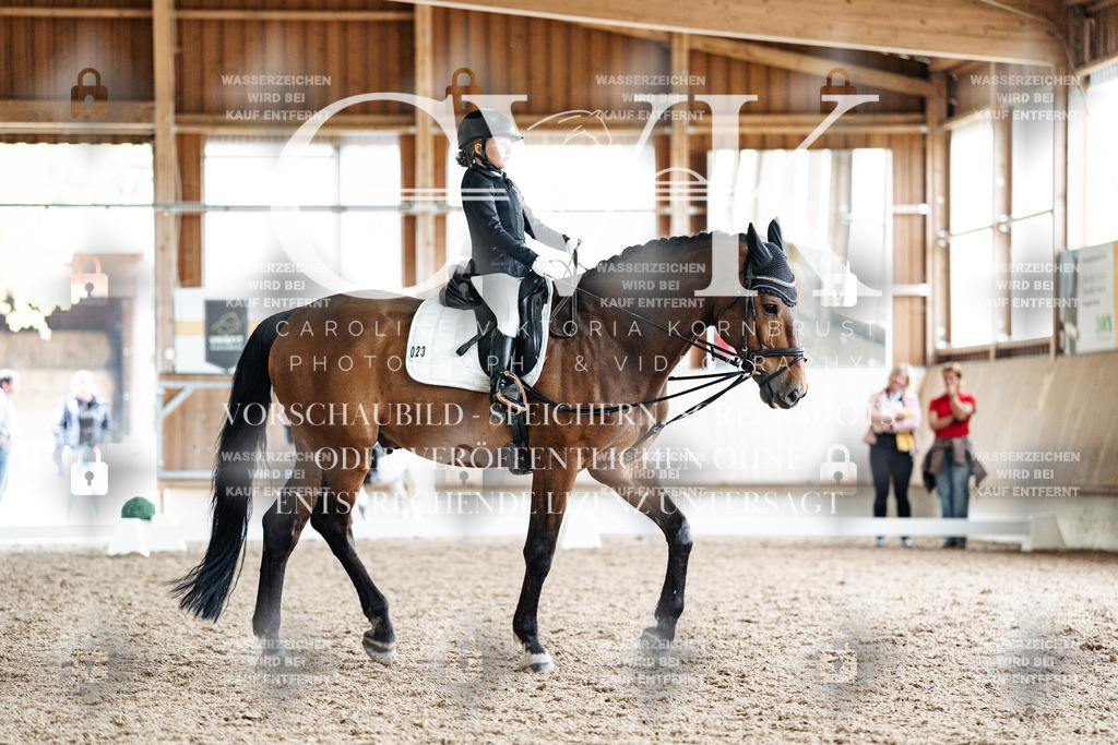 CK900810 | Turnierfotografie Pferdefotografie Trier Rheinland-Pfalz Pferdesport Reitsport Tierfotografie Sportfotografie Pferdevideo Pferdevideografie Equestrianvideography equestrianphotography  - Realized with Pictrs.com