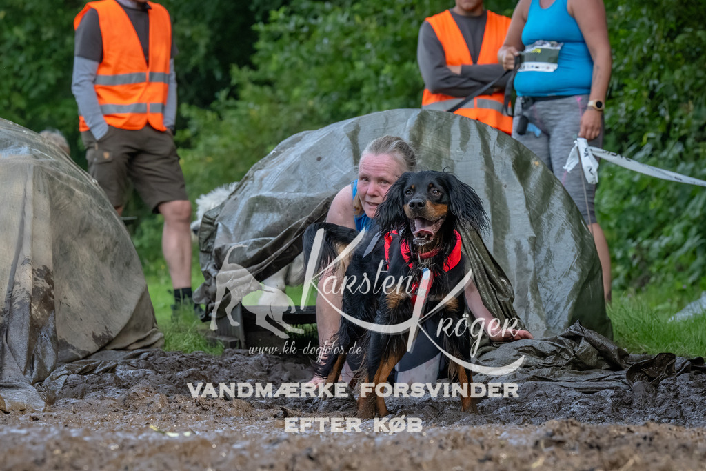 1730_ZZ92374-Bearbeitet | kk-dogfotos