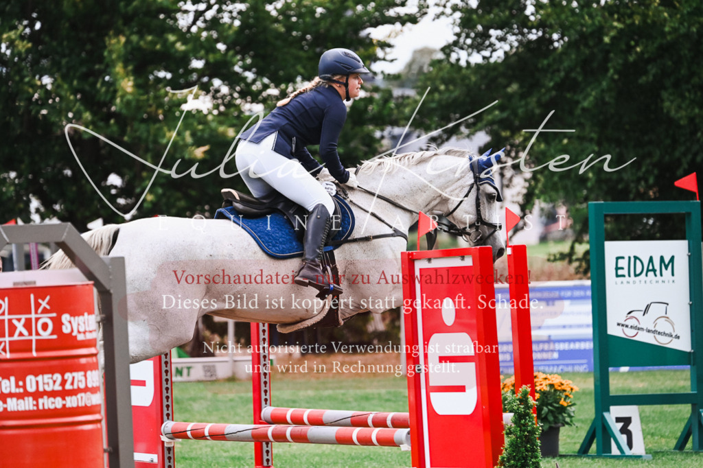 DSC_6022 | Pferde- und Turnierfotografie in Westsachsen. Pferdeportraits, Auftragszeichnungen und intuitive Kunst.